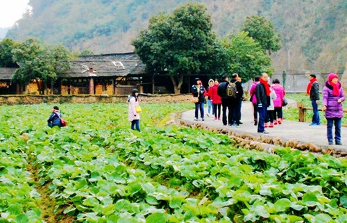 Zhangjiajie Huanglong cave welcomes many local people