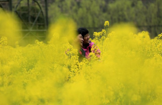 Zhangjiajie Huanglong scenic area has abundant spring scenery