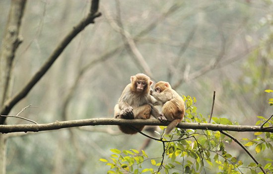 2016 Photo Contest in Zhangjiajie park yellow stone village