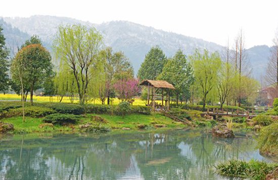 Spring snow and flowers wonder in ZJJ Huanglong cave scenic area