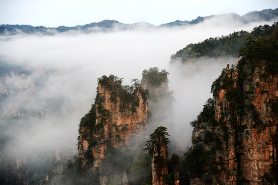 Sea of Clouds Captured at ZJJ Tianzi Mountain