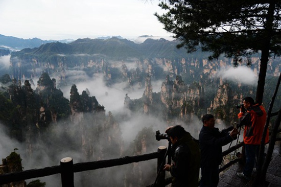 The Intoxicated Spring Clouds Wonderland in ZJJ Tianzi Mountain