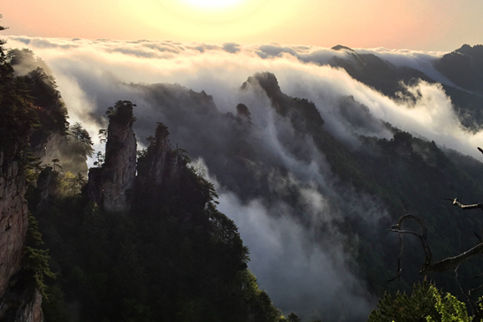 Sea of Clouds Seen at Wulingyuan Scenic Spot