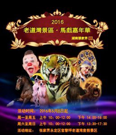 Zhangjiajie Lao Daowan’s circus carnival awaiting for you