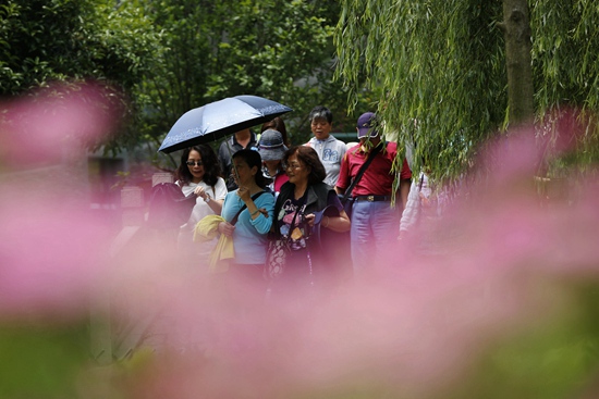 ZJJ Huanglong Hole Ecological Square’s Meadow Sweets open