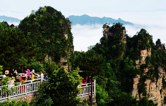After the Rain, More Beautiful Summer Scenery in Zhangjiajie Wulingyuan