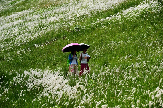 Zhangjiajie Wulingyuan shows “Prairie” in Xiehe township