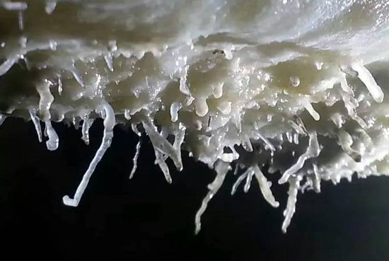 ZJJ Huanglong Hole shows precious curling stone landscape