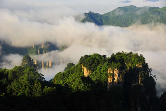 ZJJ Tianzi Mountain scenic area shows a sea of clouds and buddha’s light