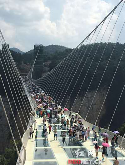 How to tour for Zhangjiajie grand canyon glass bridge