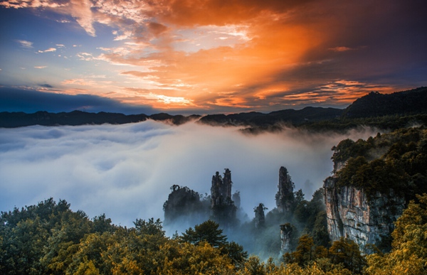 How about Zhangjiajie park entrances and opening time?