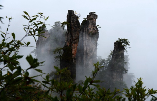 ZJJ Wulingyuan shows “Avatar” suspended scenery in frost