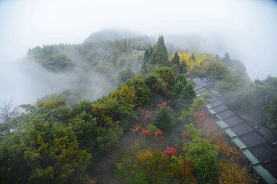 ZJJ Wulingyuan autumn wonderland scenery