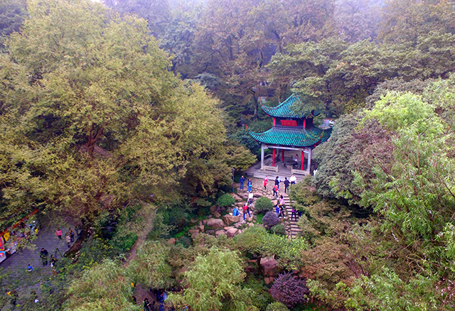 Hunan’s Tourism as a Strategic Pillar Industry Enjoys a Prominent Status