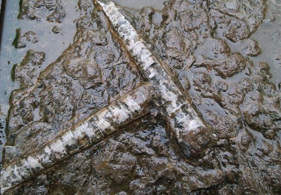 ZJJ Huanglong Fossil Square lets visitors return hundreds of millions of years