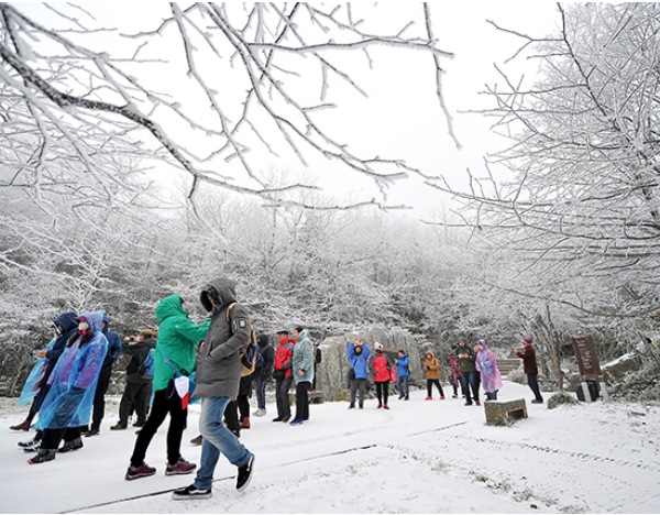 Beautiful Rime Scenery Seen in Zhangjiajie and Hengshan