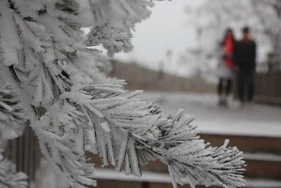 Tianzishan Cableway recovers operations on 24th,Ice and rime are so beautiful