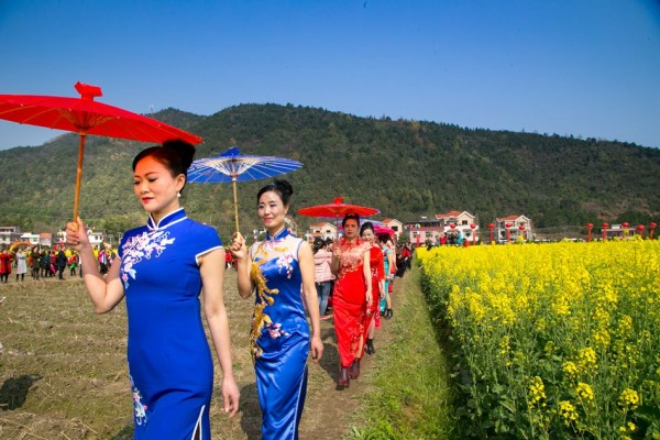 Sixth Hengyang Cole Flower Festival Kicks off