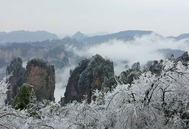 Marvelous Rime Scenery Seen in Zhangjiajie