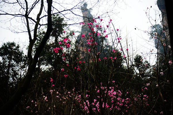 Yueyang to Host 2017 Hunan International Tourism Festival
