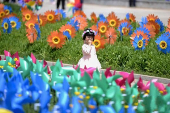 Hunan Forest Botanical Garden Holds Flowers and Pinwheels Festival