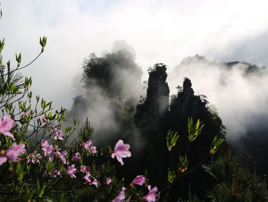 Zhangjiajie Magnificent Clouds after the Rain