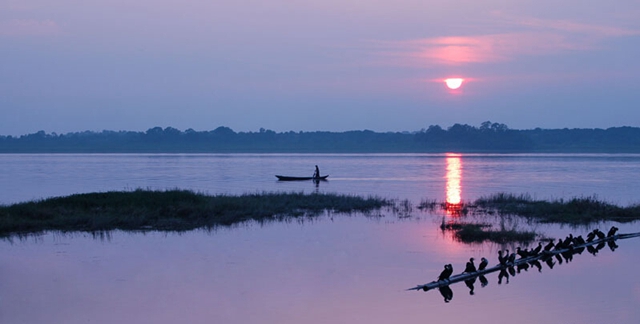 Yiyang South Dongting Lake Wetland