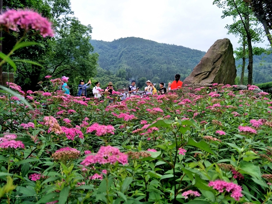 Zhangjiajie Huanglong Hole Colorful Summer Rhyme