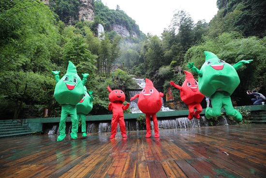 Zhangjiajie cartoon elves propose green life