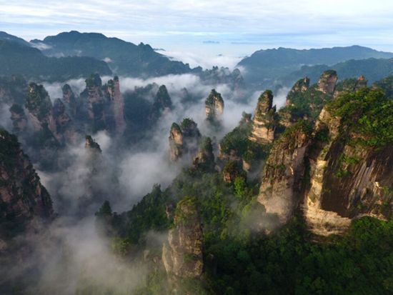 A sea of clouds walks among Zhangjiajie forest park