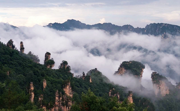 A sea of clouds shows in Tianzi Mountain after &quot;Solar rain&quot;