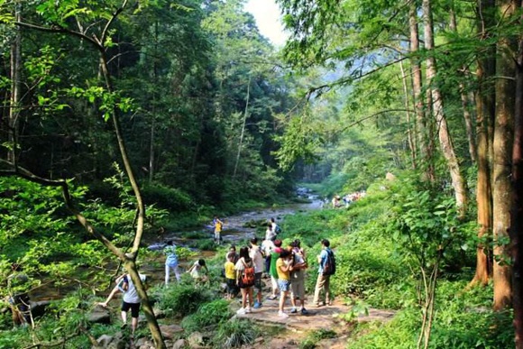 Golden Whip Stream is a good place for summer travel