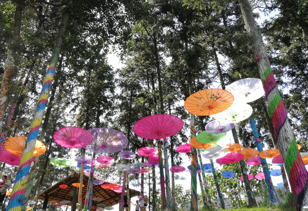 Changsha Oil-paper Umbrella Cultural Tourism Festival Opens