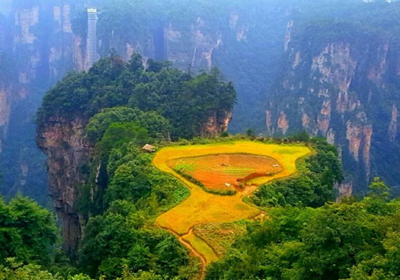 Zhangjiajie held harvest festival in Wulingyuan core scenic spot