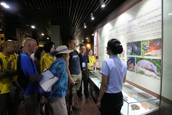 UNESCO experts reassess and comment on Zhangjiajie
