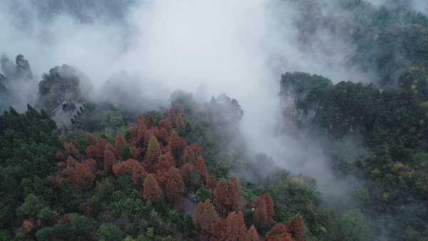 Tianzishan Scenic Area is covered with mist in autumn and winter