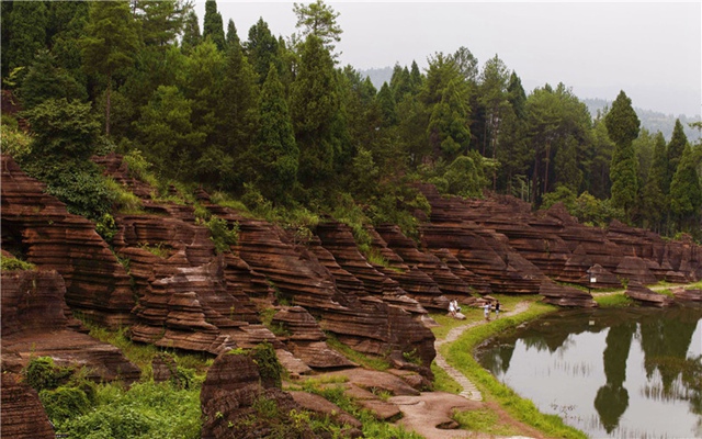 Red Rock Forest