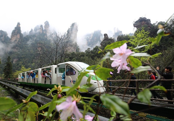 What is the weather like in Zhangjiajie In early May?