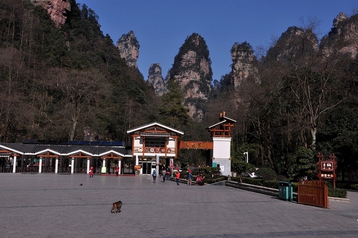 Is there any left luggage service at south Zhangjiajie gate?