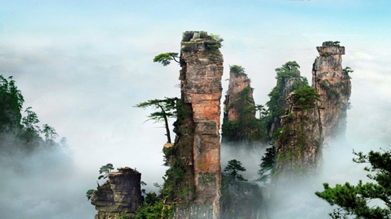 Any reliable local tour for Zhangjiajie in Changsha?