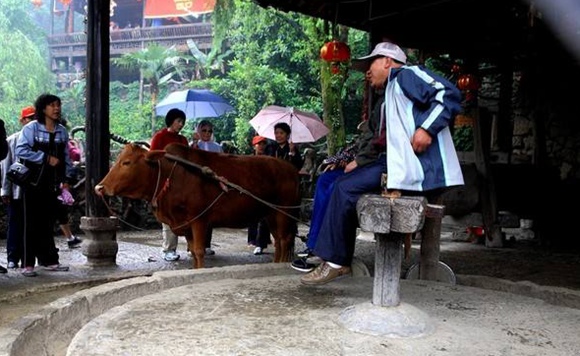 Zhangjiajie Tujia Taboos in Animals