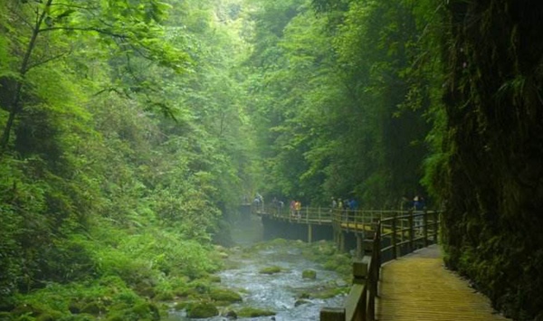 Zhangjiajie Geological Features