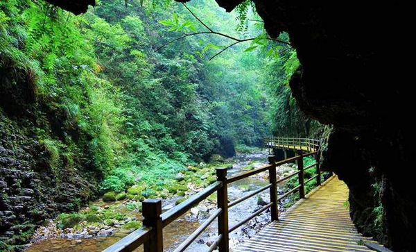 How much for train ticket from Guangzhou to Zhangjiajie