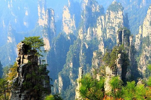 Do you have any suggestion for Zhangjiajie day trip？