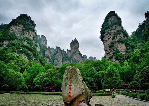Forest oxygen bar tour in Zhangjiajie National Forest Park