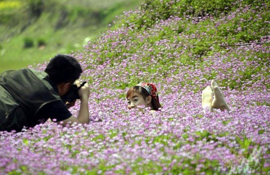 Forest flower sea tour in Wulingyuan Xiehe Township