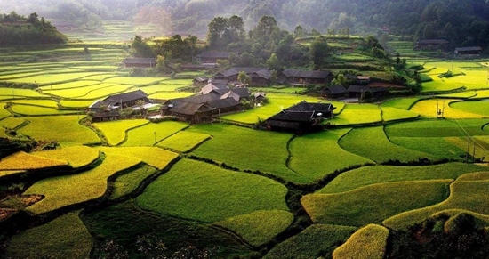 Local folk custom tour in Zhangjiajie Yongding District