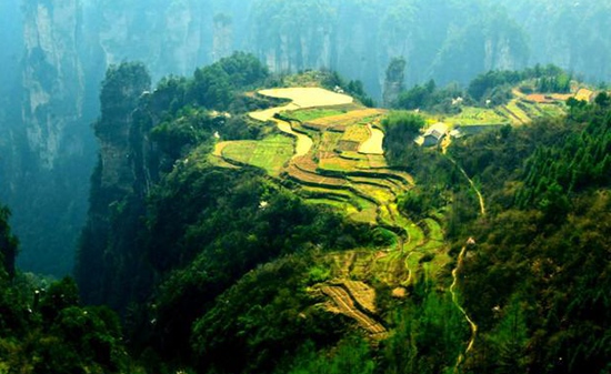 How about tour for Hangzhou, Zhangjiajie/Guilin?