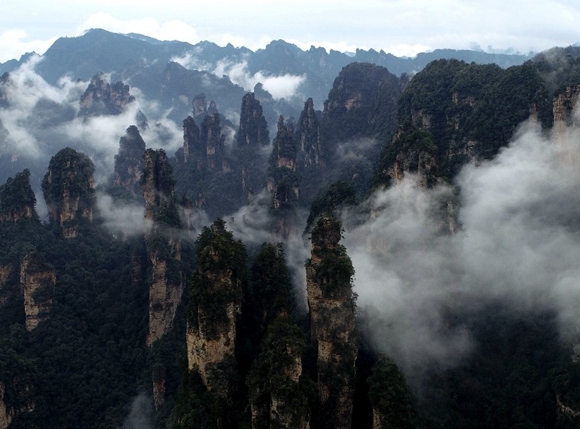 Types of Travel Insurance in China Now