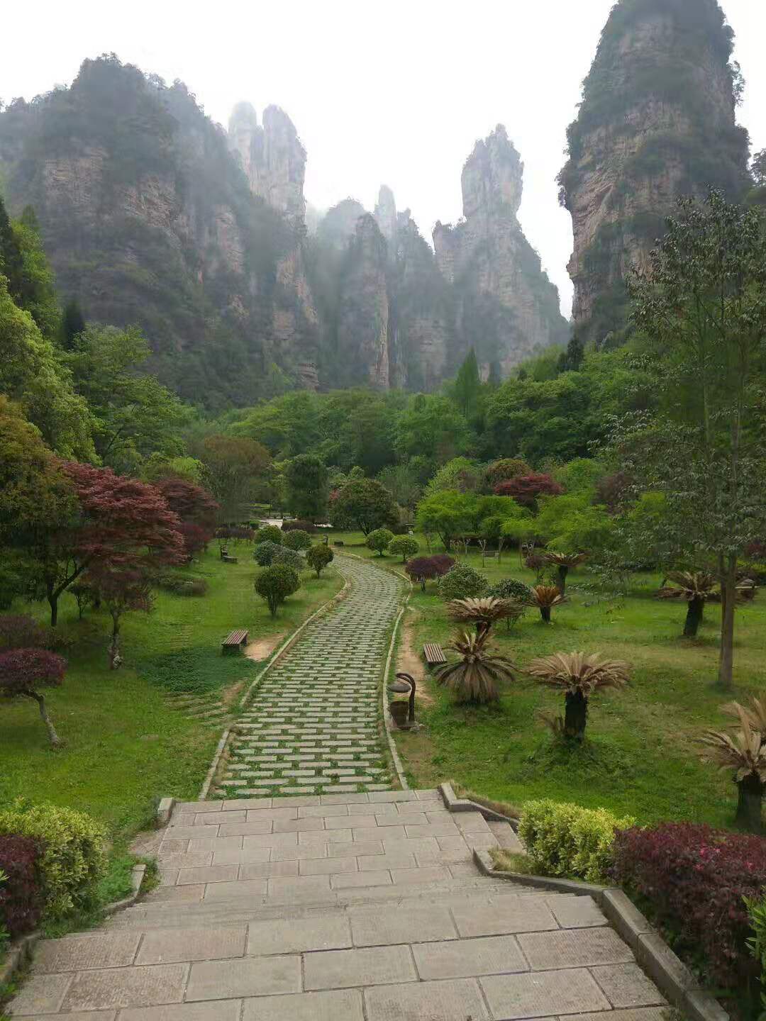 How to Zhangjiajie from Wuhan by high-rail train and bus